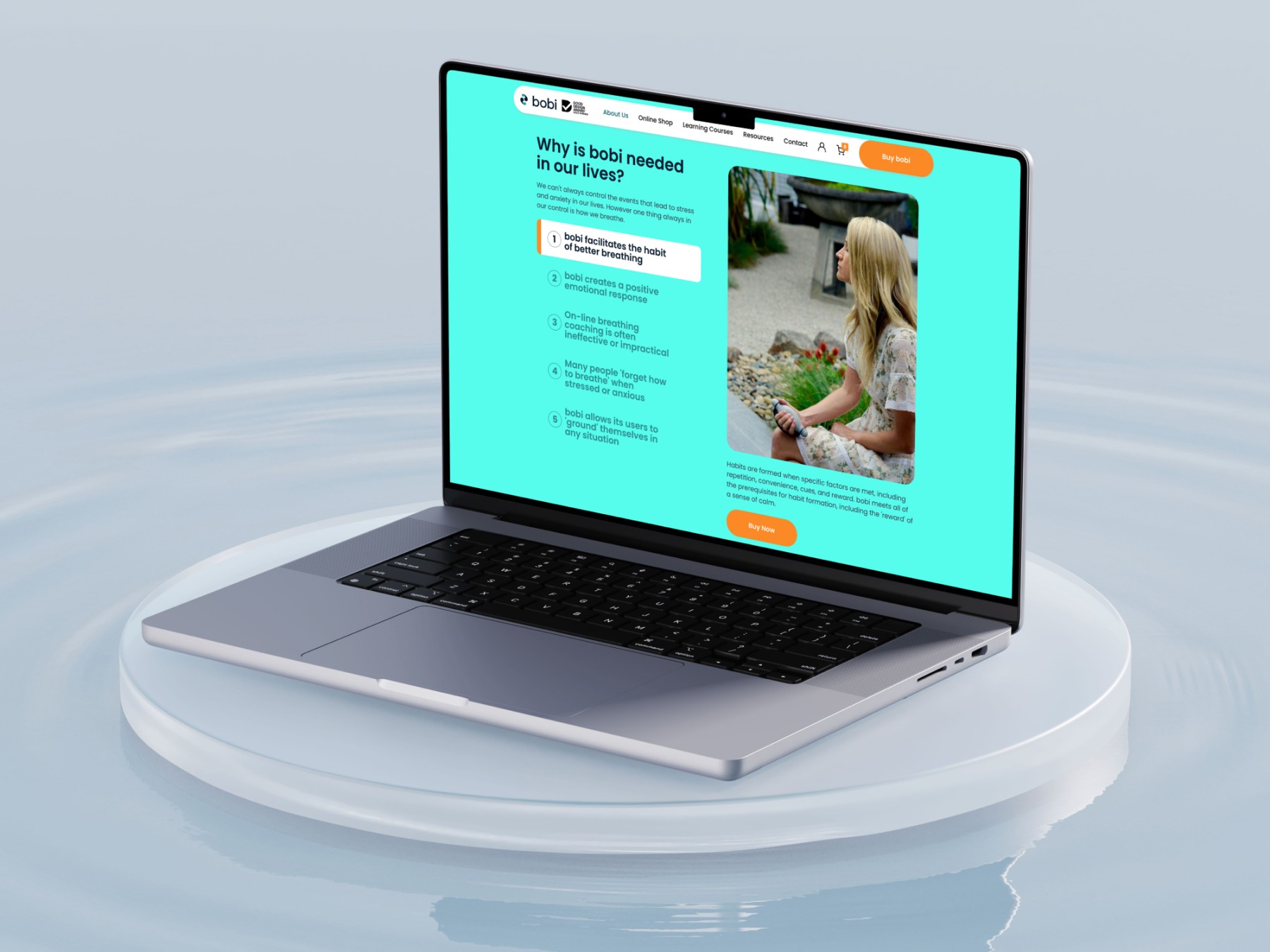 Bobi website design, screen 4 of 9