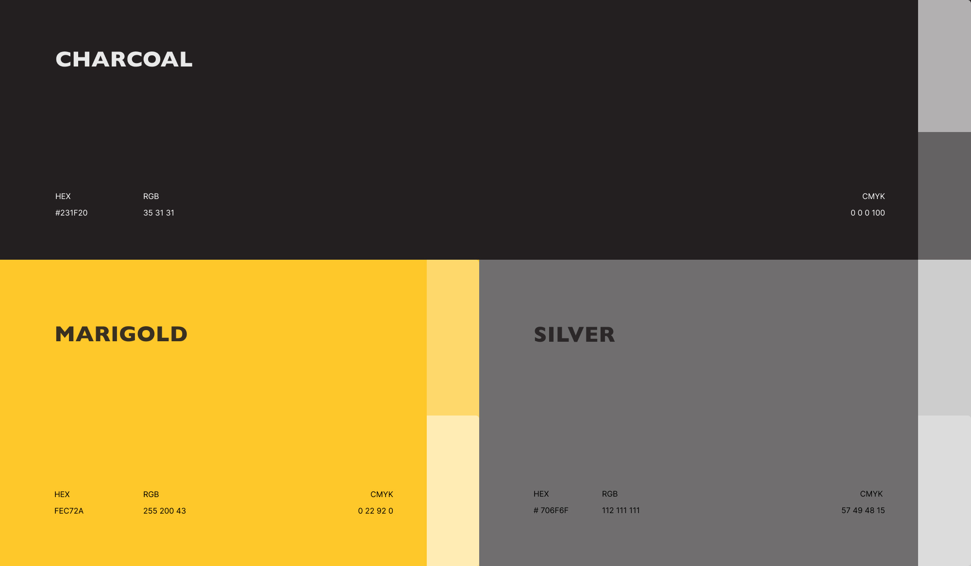 colour palette design