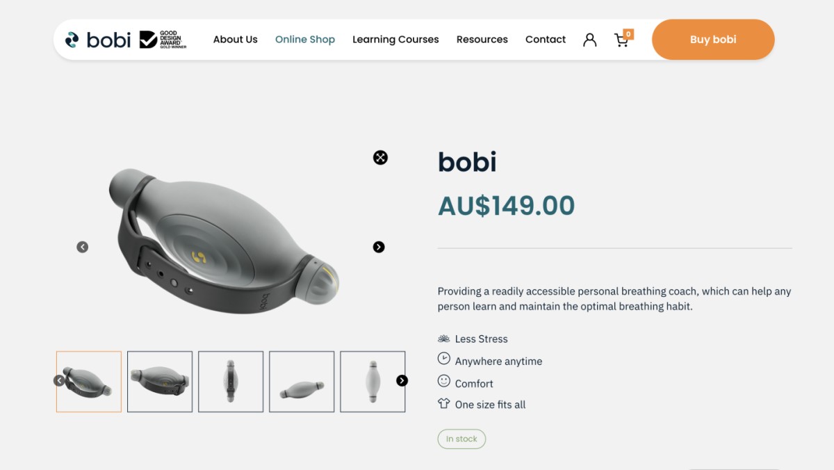 Bobi website design, screen 8 of 9