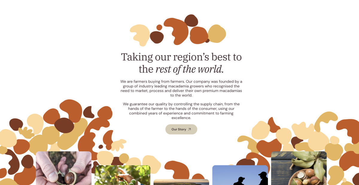 Australian Premium Macadamias interactive homepage section with colourful brand shapes